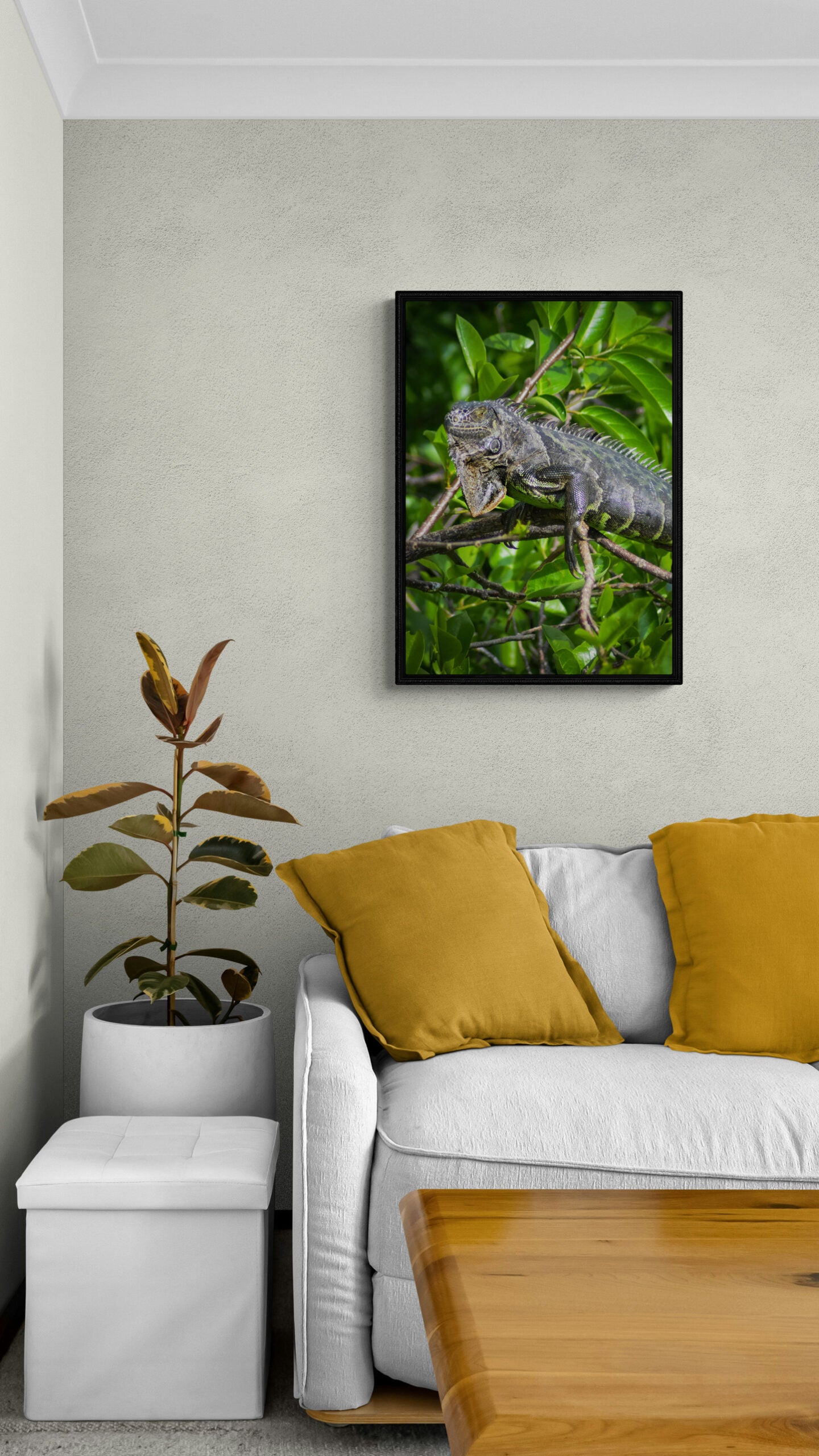 Green_Iguana_Original_Photograph_by_Kim_A._Bailey over a white sofa