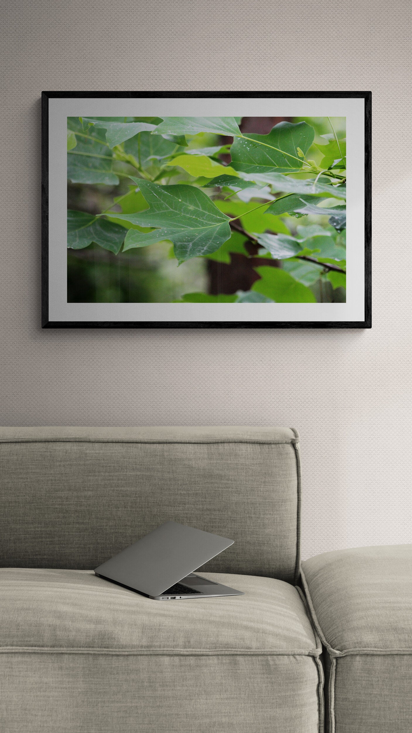 Framed photograph of green leaves above a gray sofa.