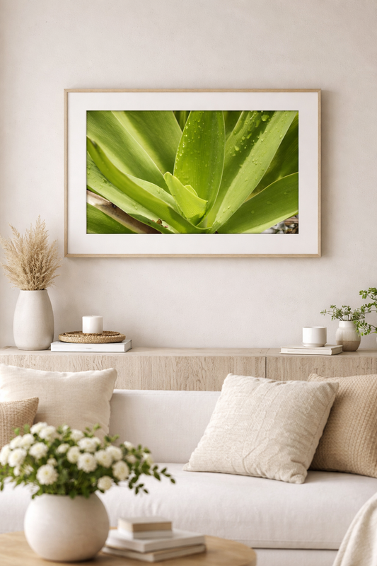 Spa-Inspired Wall Art