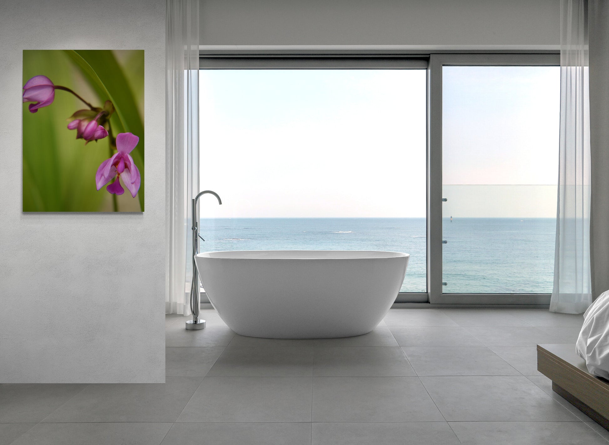 Ground Orchid Original Photograph by Kim A. Bailey in a Coastal Bedroom