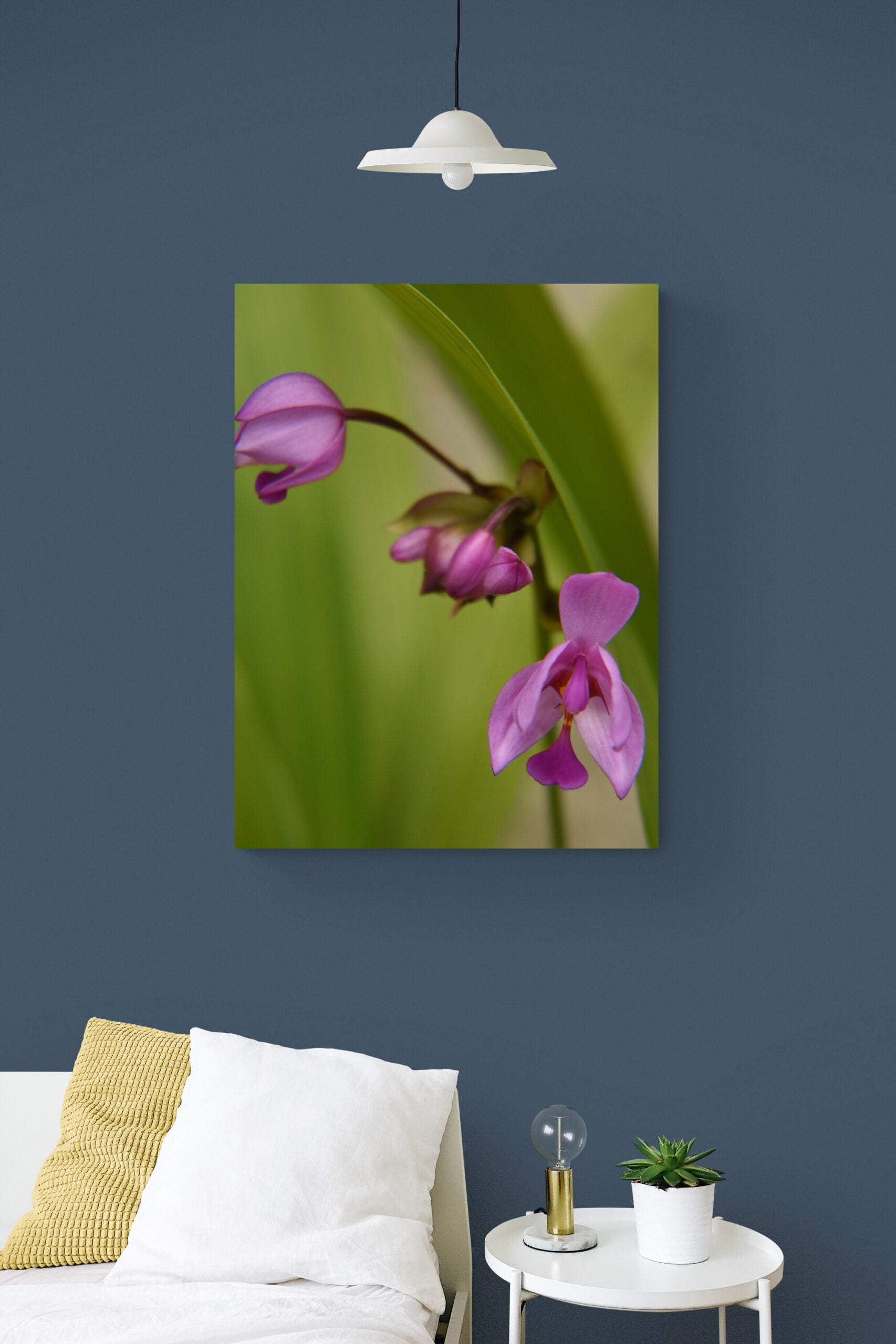 Ground Orchid Original Photograph by Kim A. Bailey