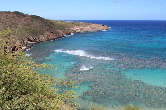 A photograph of Hanauma Bay with clear blue water, a crescent-shaped bay, and a lush green shoreline. Hanauma Bay Surf Original Photograph by Kim A. Bailey