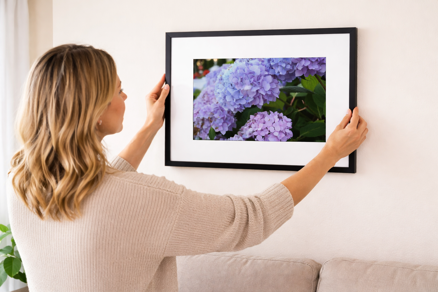 Hydrangeas