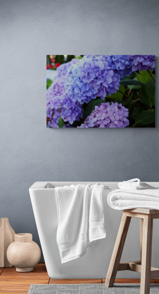 Hydrangeas Original Photograph by Kim A. Bailey