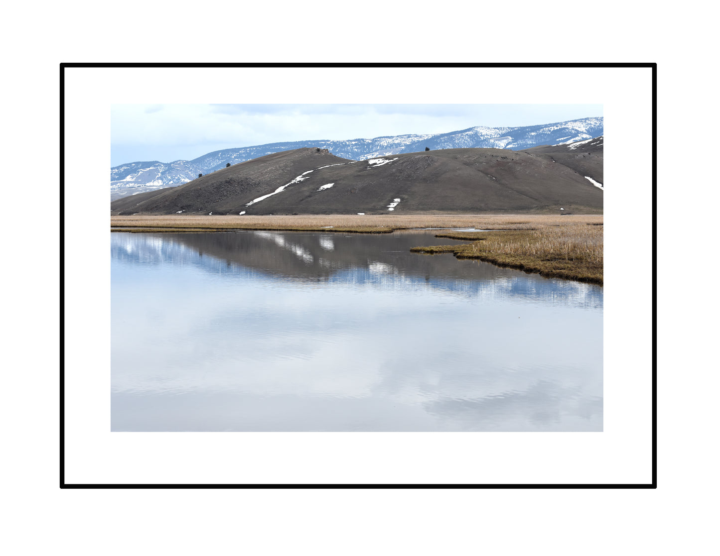 Jackson Watering Hole, Wyoming Original Photograph by Kim A. Bailey