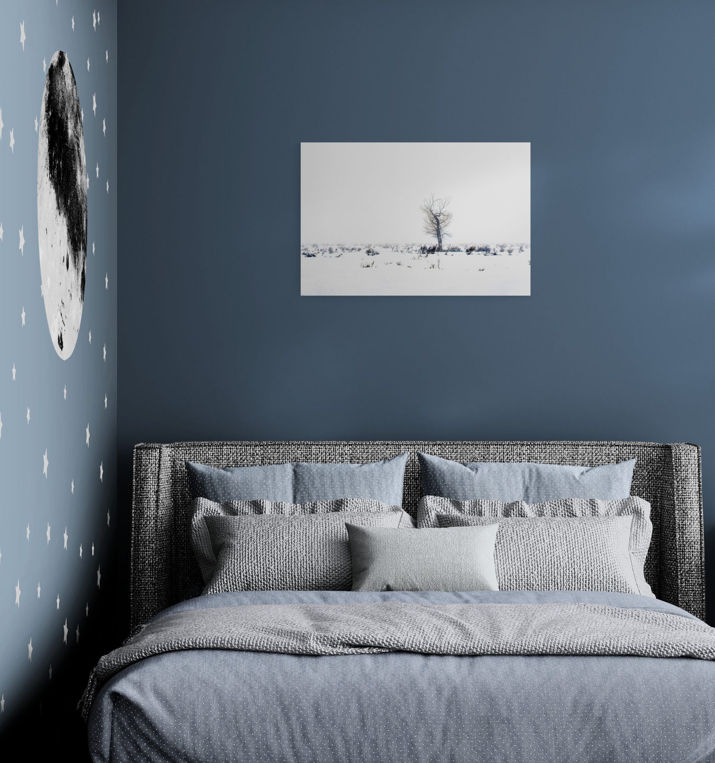 Lone-Tree_Original_Photograph_by_Kim_A._Bailey