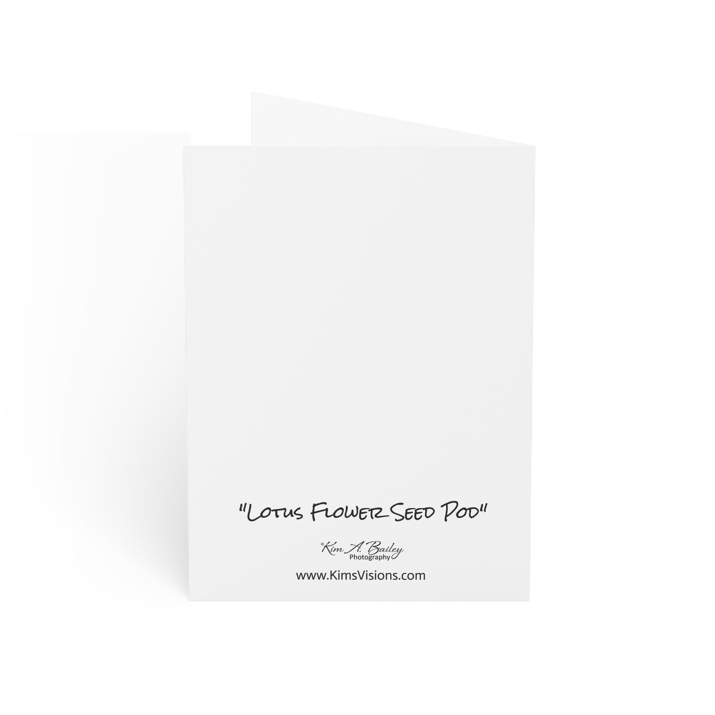 Lotus Flower Seed Pod Note Card Back of Card