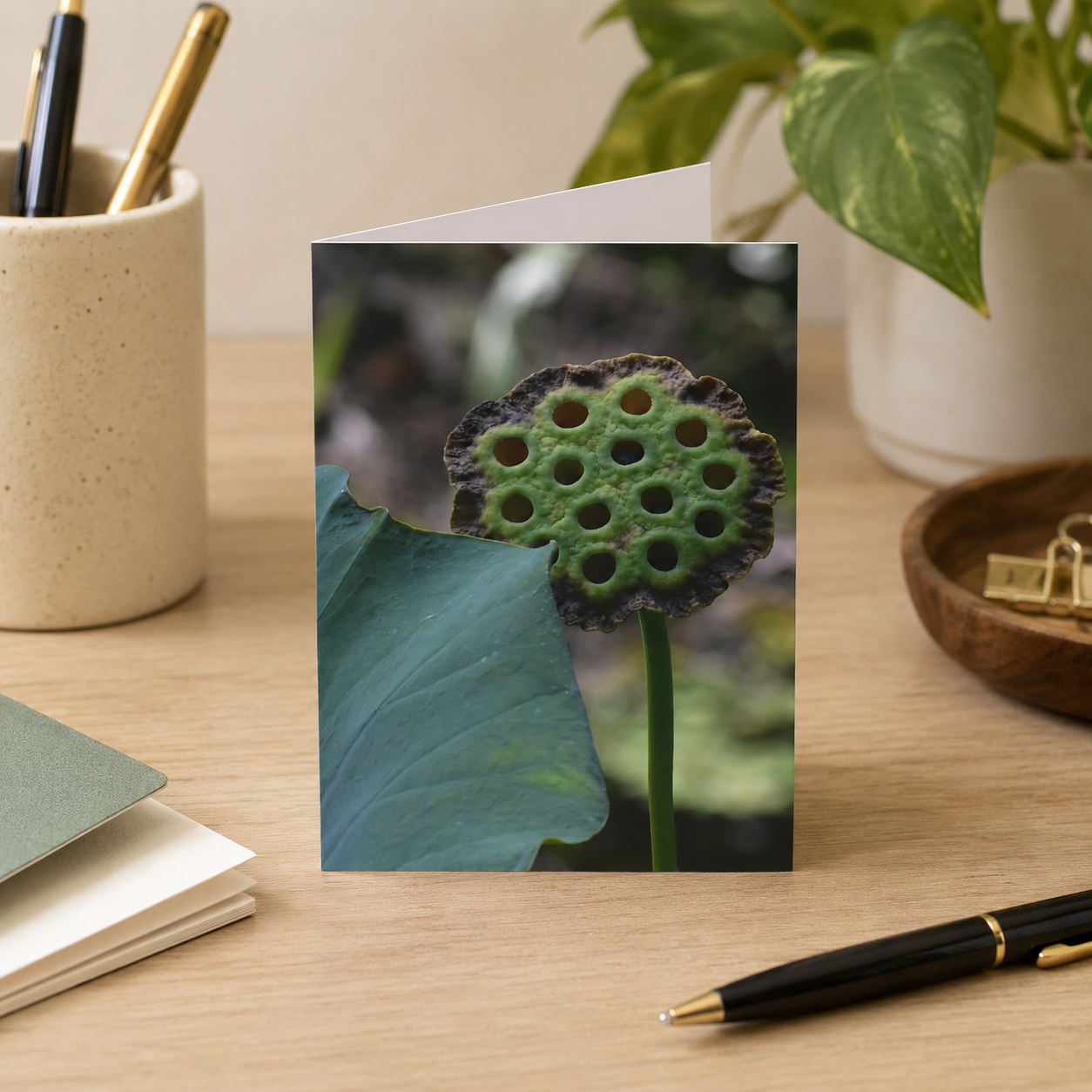Lotus Flower Seed Pod Photograph Note Cards (1, 10, 30, or 50 pcs.)