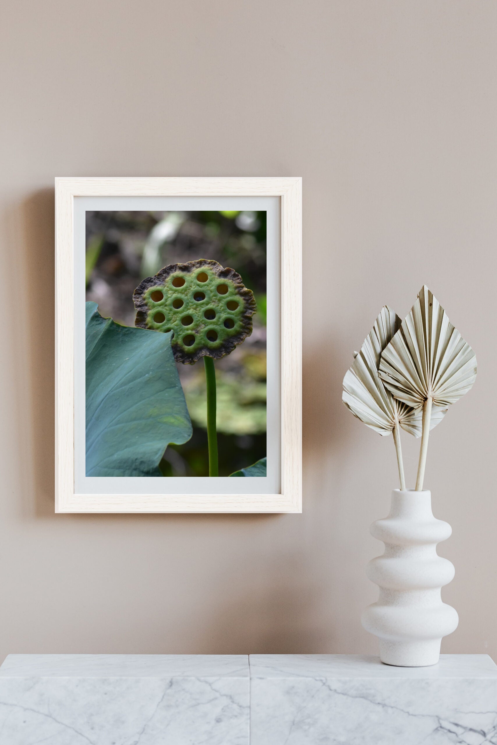Lotus_Pod Original Photograph by Kim A. Bailey in a neutral setting