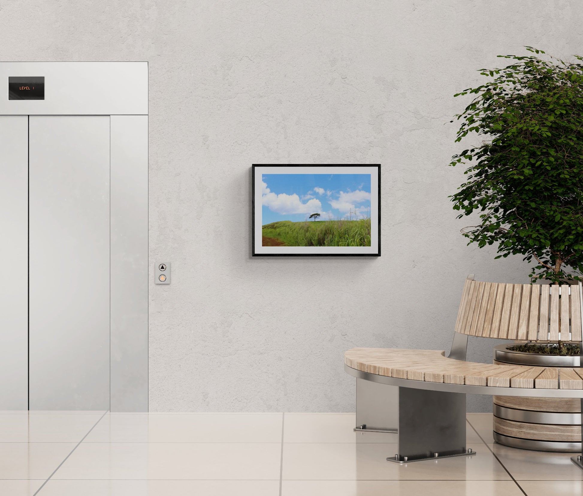 Framed picture of a green field with a bird on a wall in a modern room. Monkey Pod Tree in a Green Field, Kauai, Hawaii, Original Photograph by Kim A. Bailey