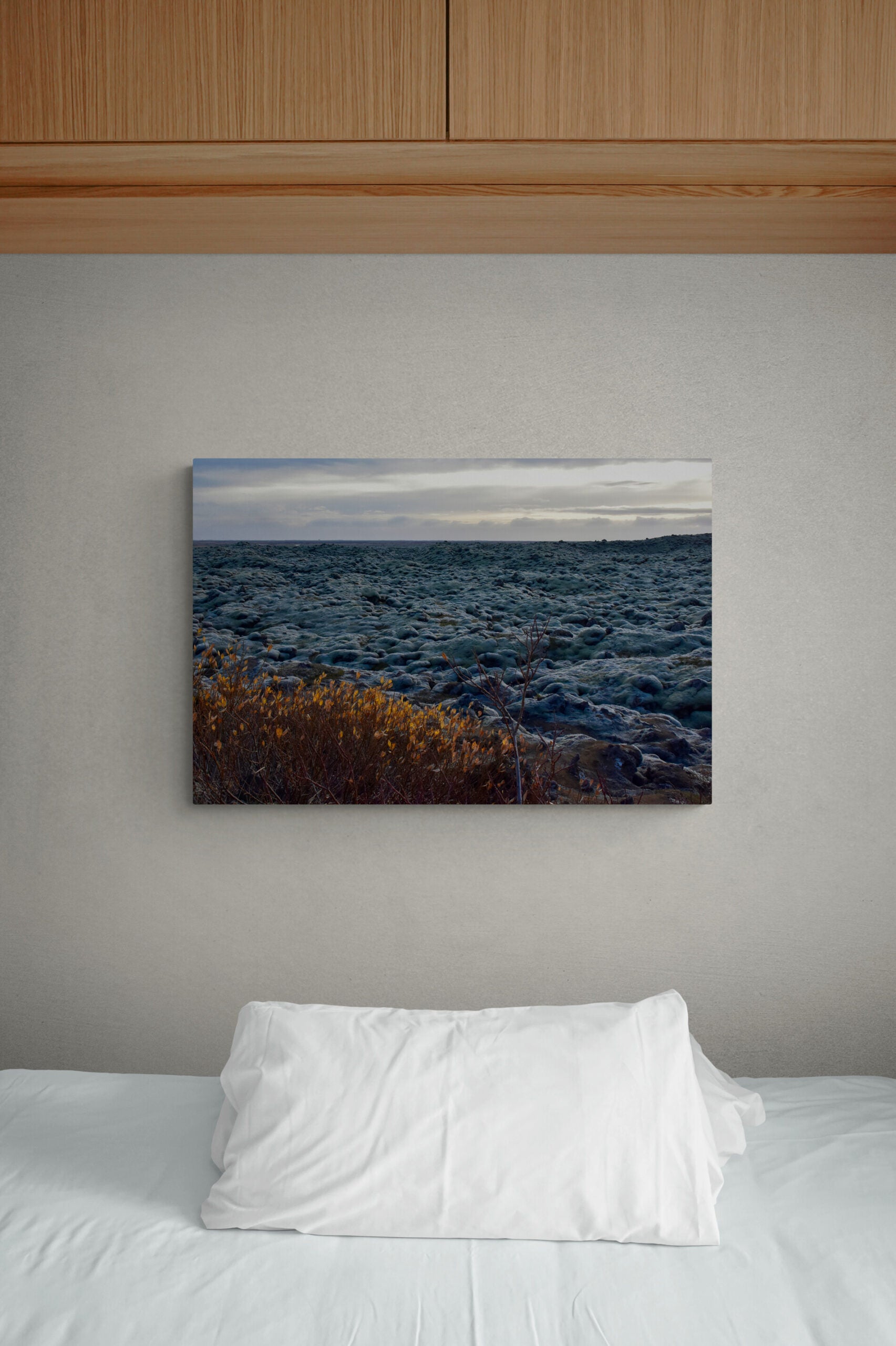 Exclusive Landscape Photography Prints "Moss Covered Lava Rocks"