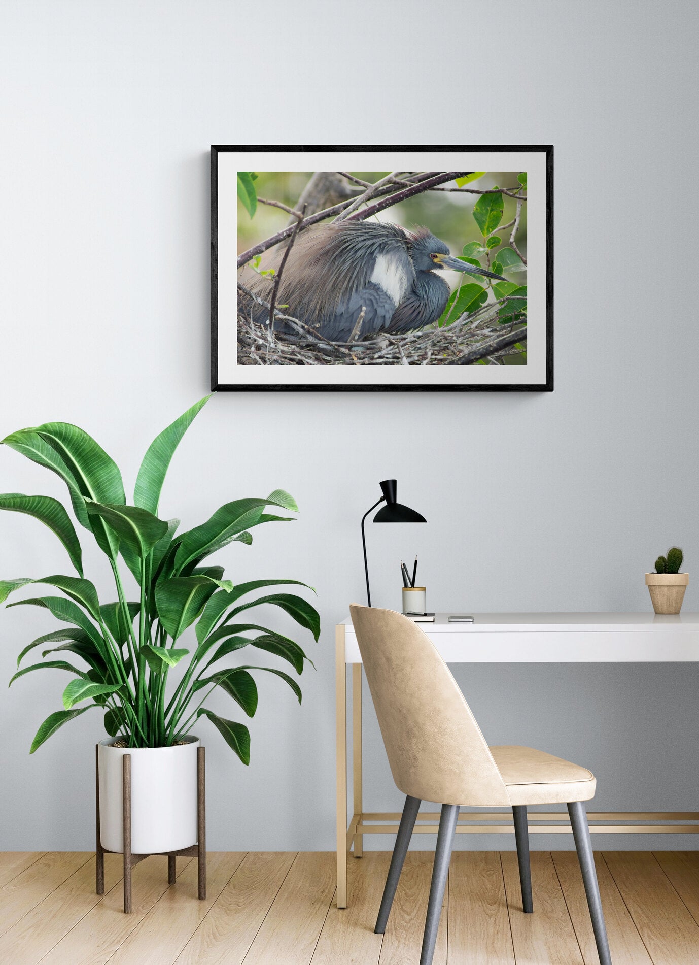 Nesting-Heron Original Photograph by Kim A. Bailey in a home office