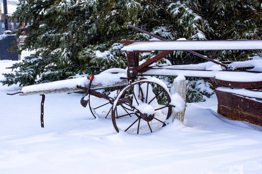 New-Fallen-Snow Original Photograph by Kim A. Bailey