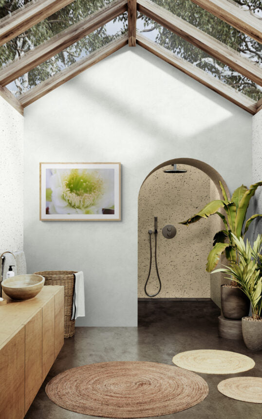 Night Bloomer on a concrete-bathroom-with-roof-windows