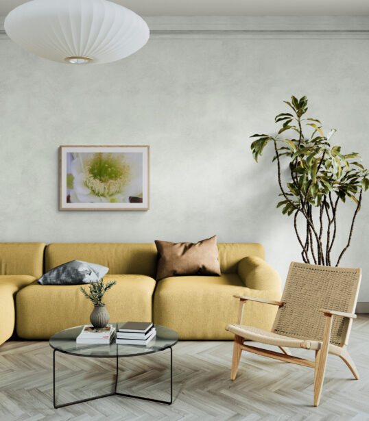 Night Bloomer on the living-room Wall