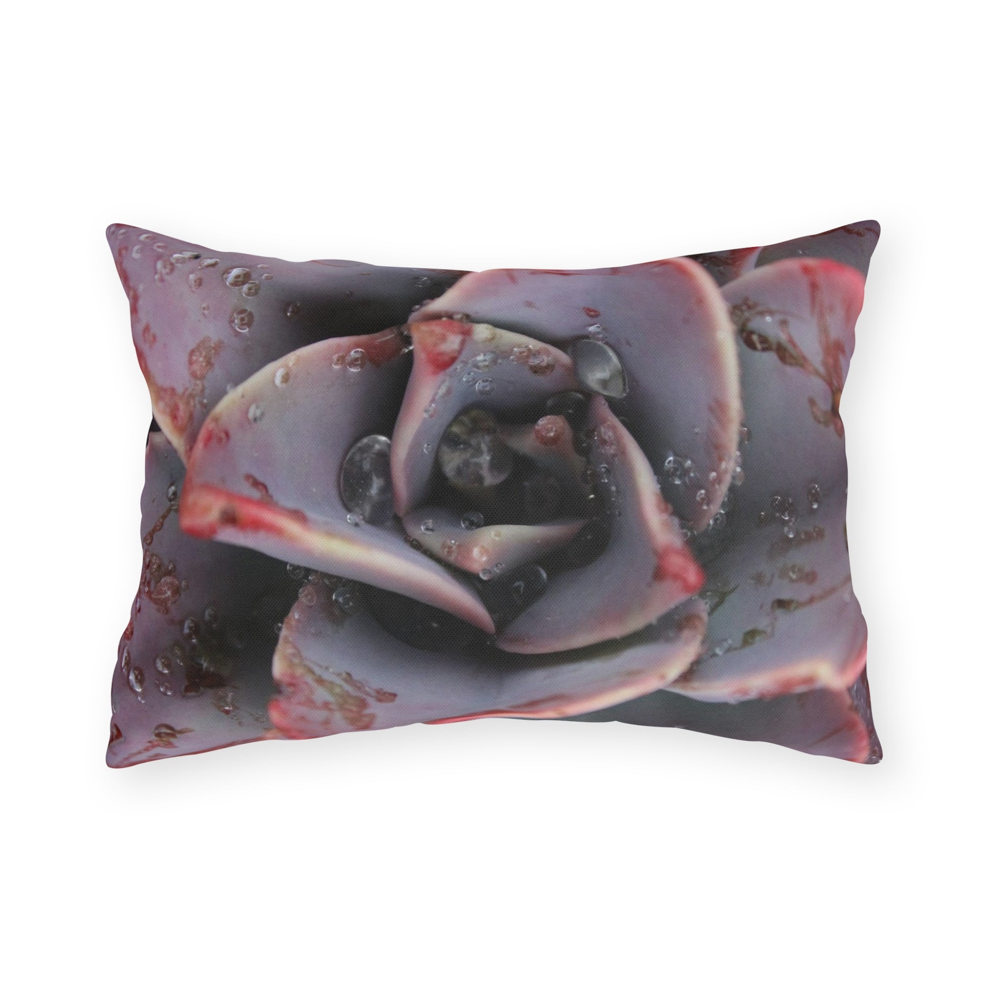Decorative pillow with a succulent plant design on a white background