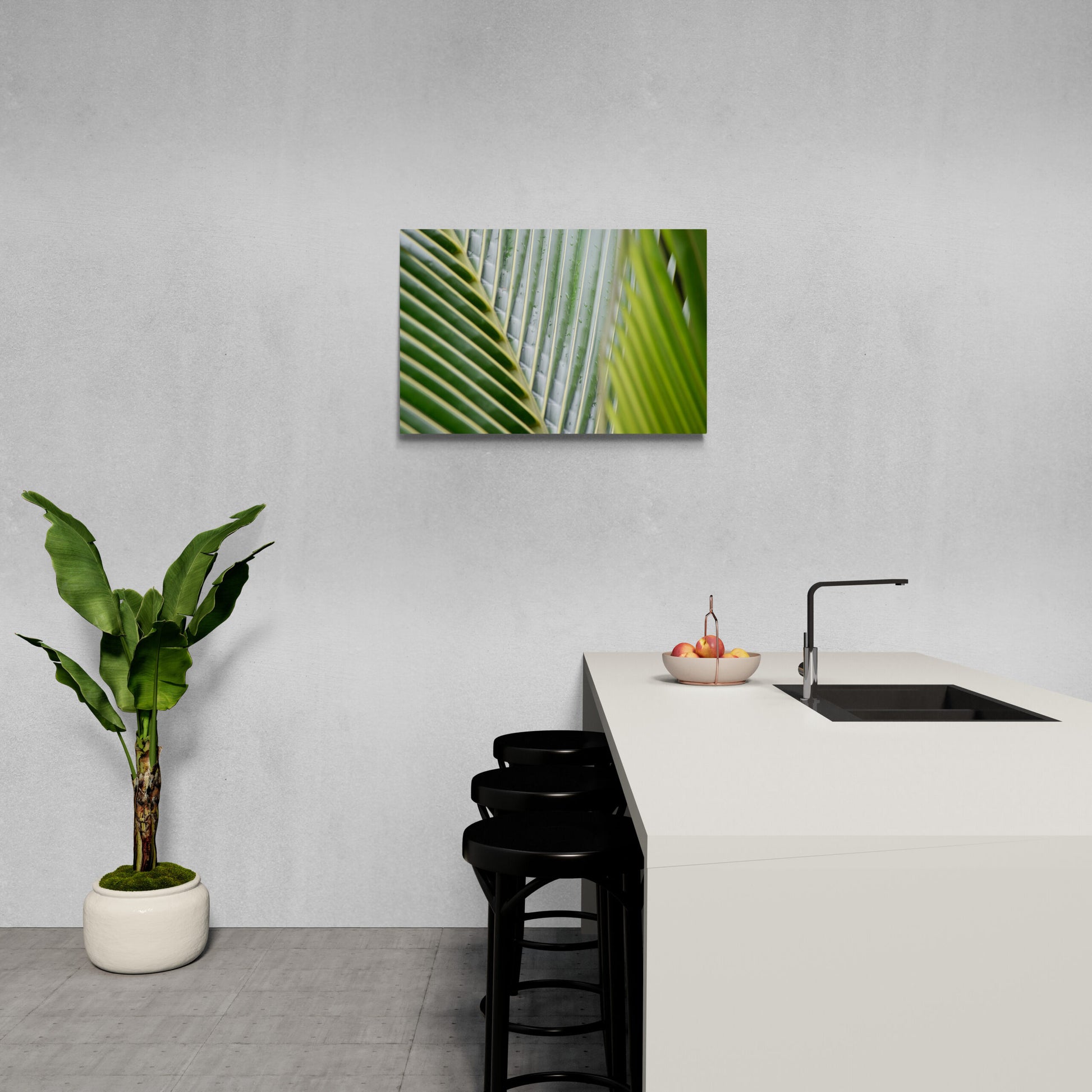 Minimalist Nature Photography Prints for a Contemporary Look "Lines of the Green Palm Frond"