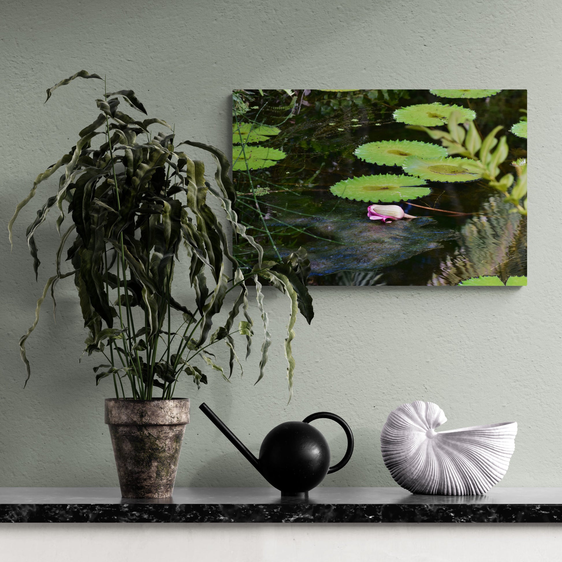 Pink Water Lily Laying on the Pond