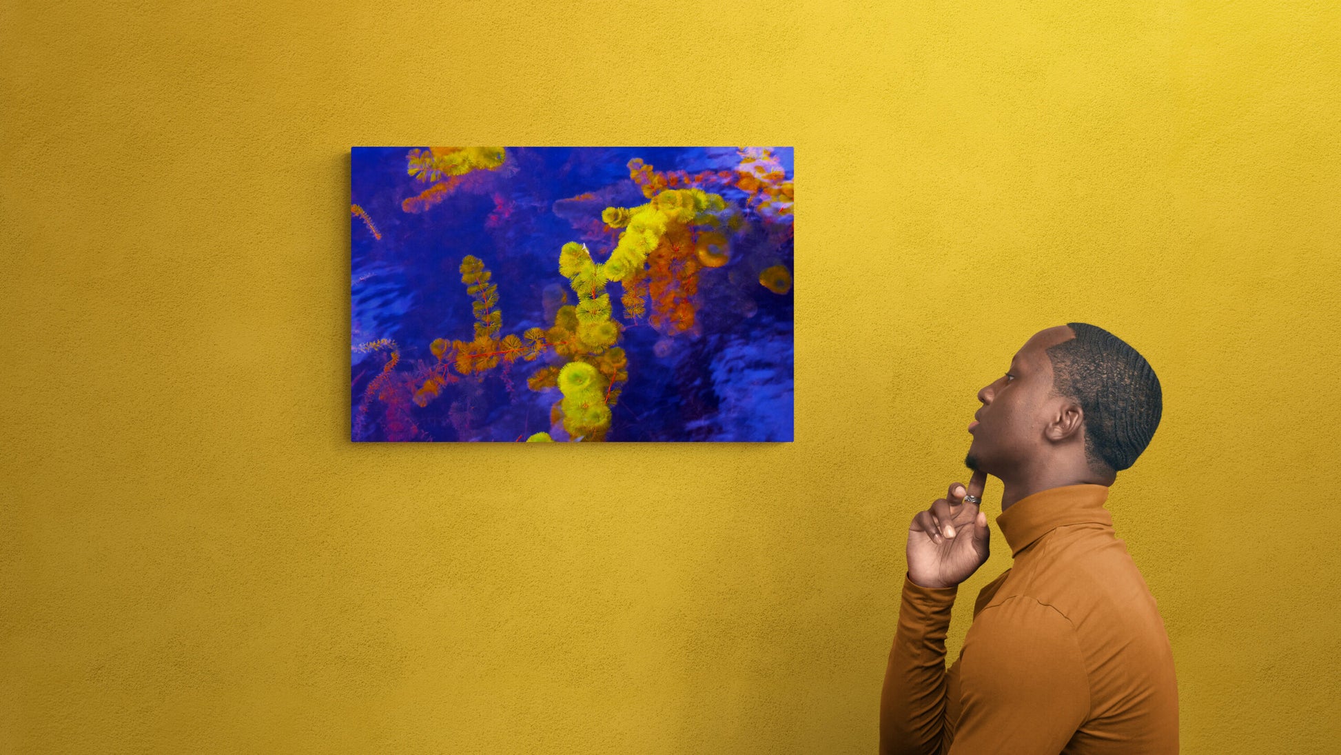 Purple and Yellow (Cabomba), Original Photograph by Kim A. Bailey