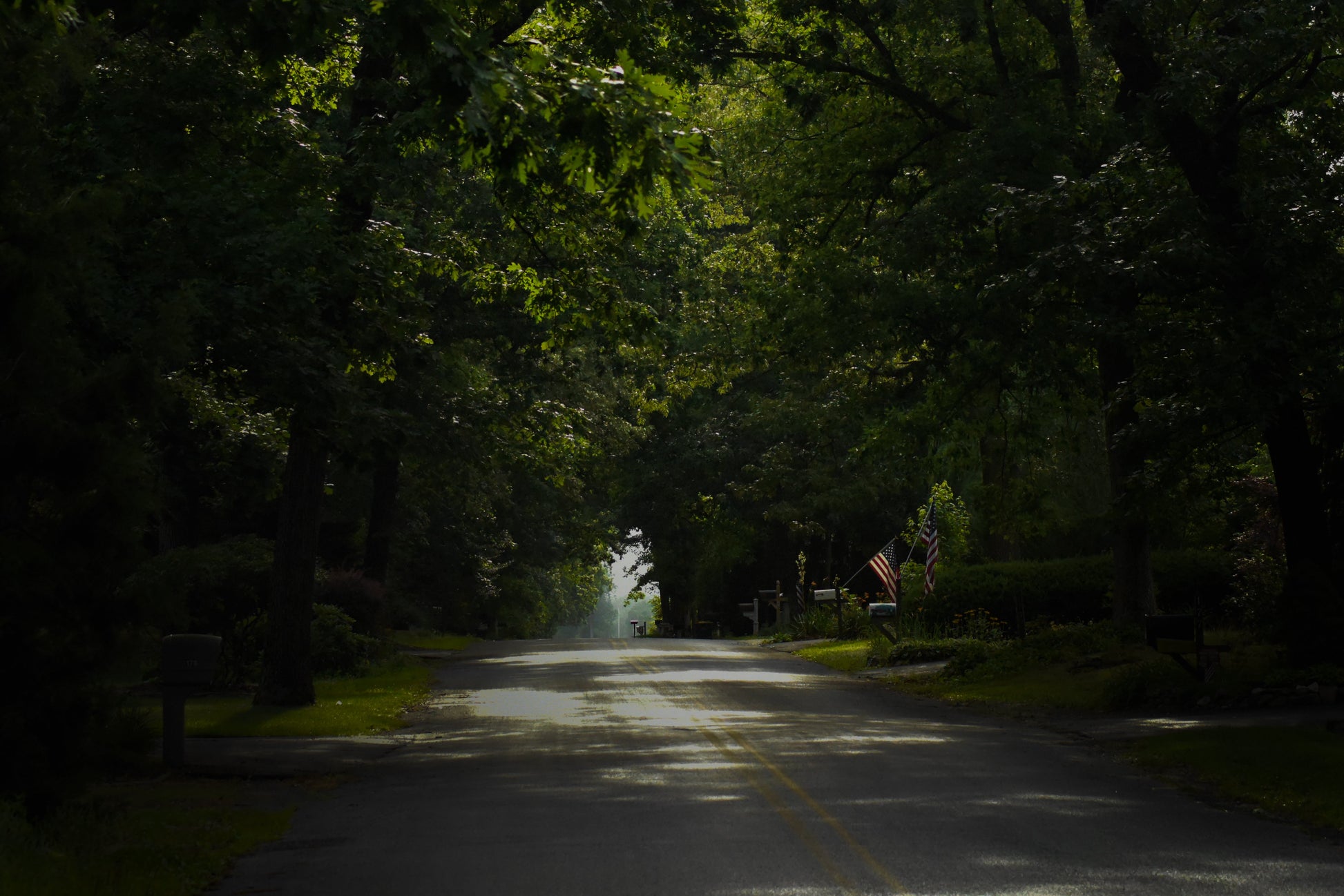 A quiet residential street in New Jersey with a tree canopy providing dappled shade, featuring a mailbox and American flags at the edge of a driveway.