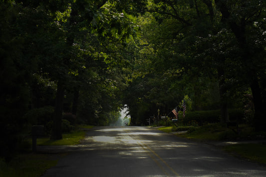 A quiet residential street in New Jersey with a tree canopy providing dappled shade, featuring a mailbox and American flags at the edge of a driveway.