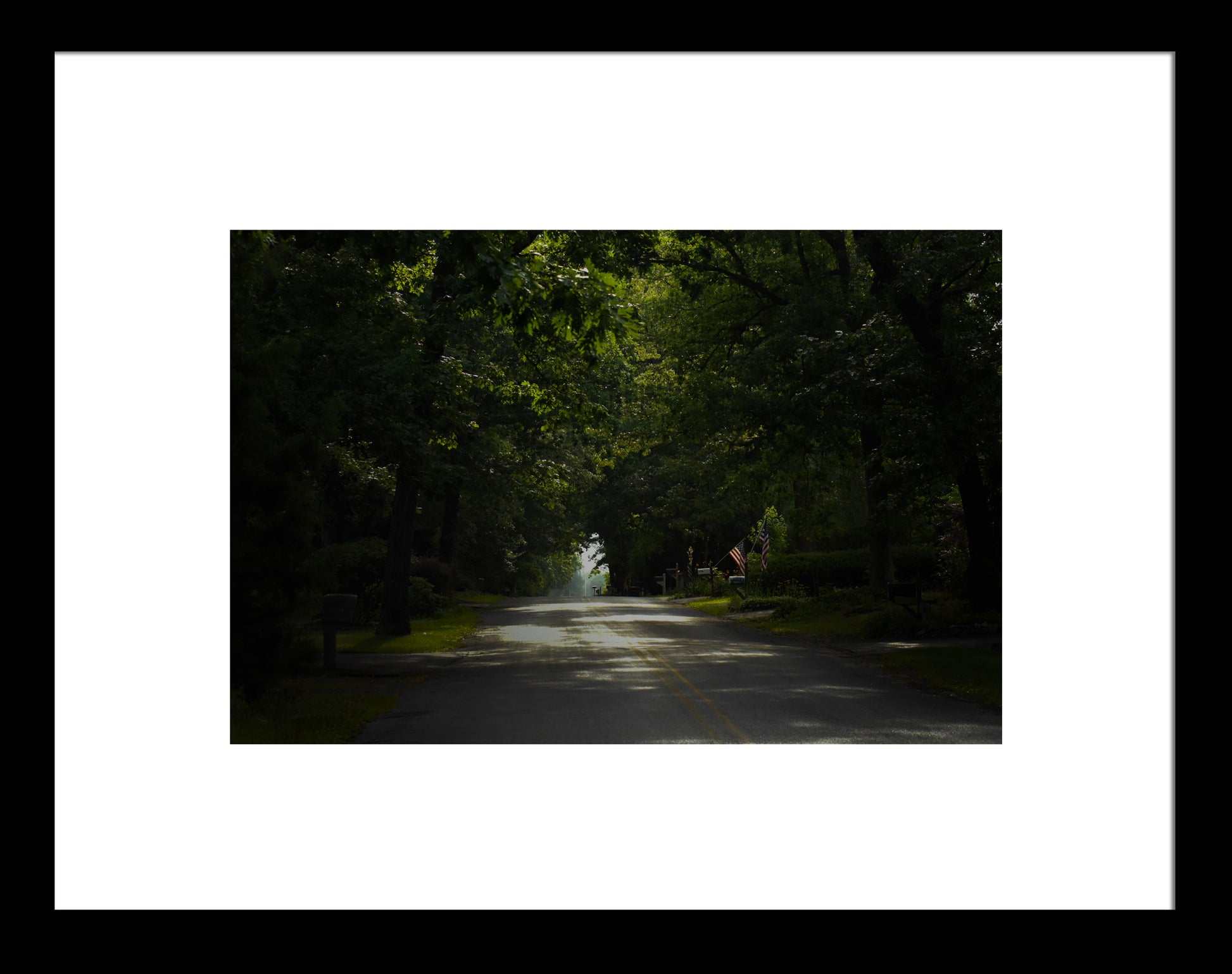 Quiet Street in New Jersey, Original Photograph by Kim A. Bailey