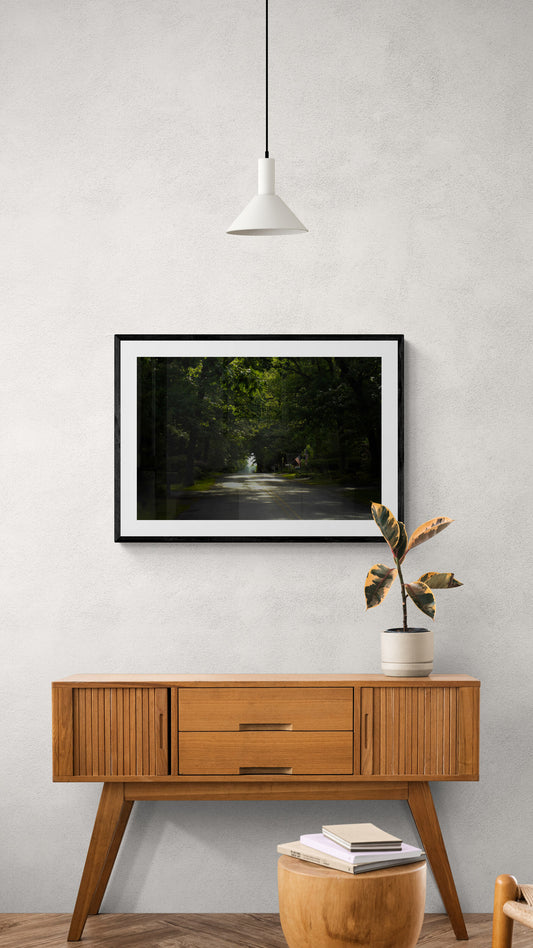Framed photograph of a forest path on a wall above a wooden side table. Quiet Street in New Jersey, Original Photograph by Kim A. Bailey
