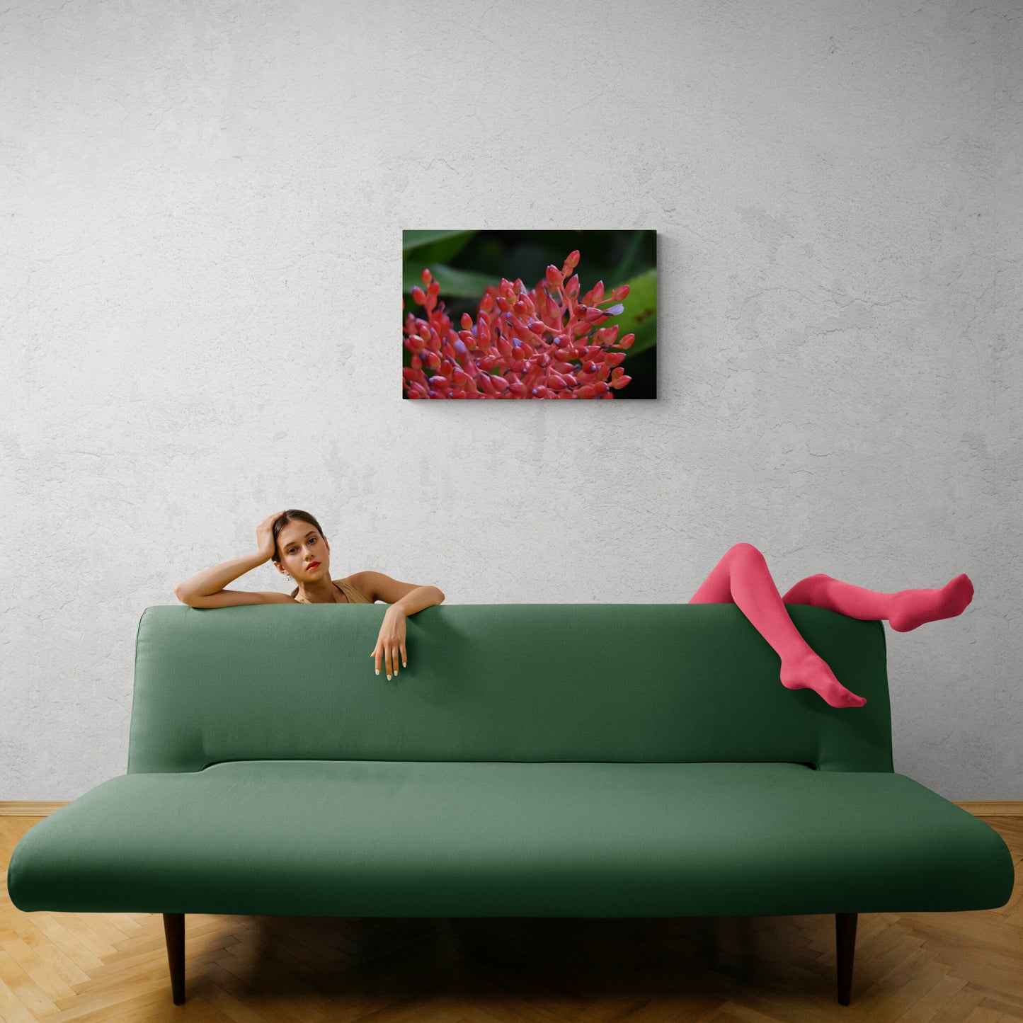 Red Bromeliad Flower Original Photograph by Kim A. Bailey in a modern Space