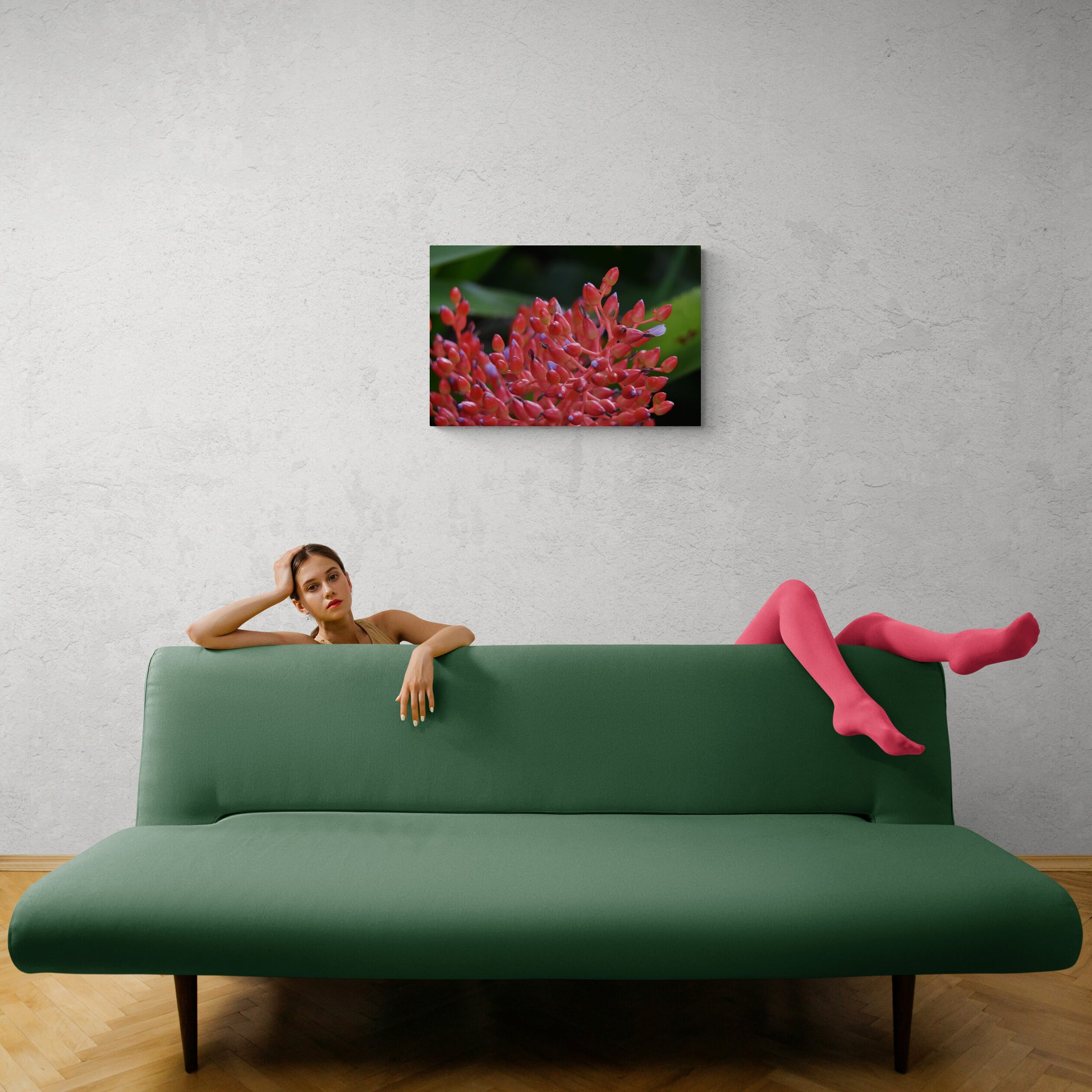 Red Bromeliad Flower Original Photograph by Kim A. Bailey in a modern Space