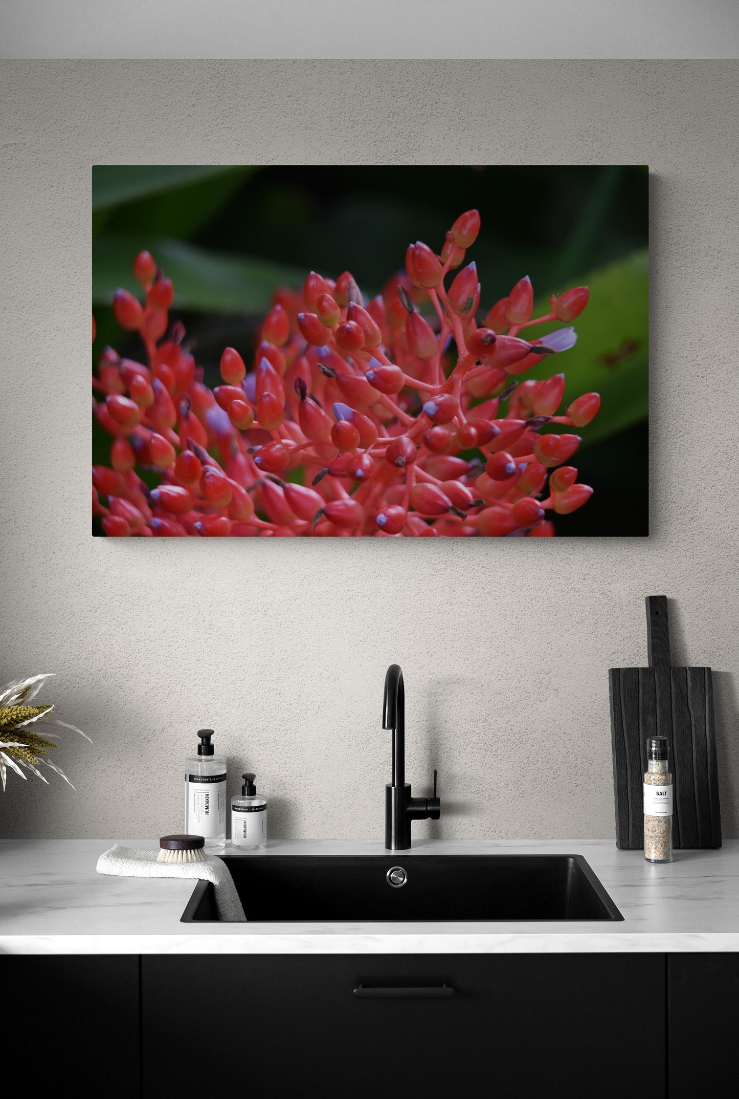 Red Bromeliad Flower Original Photograph by Kim A. Bailey in a modern kitchen