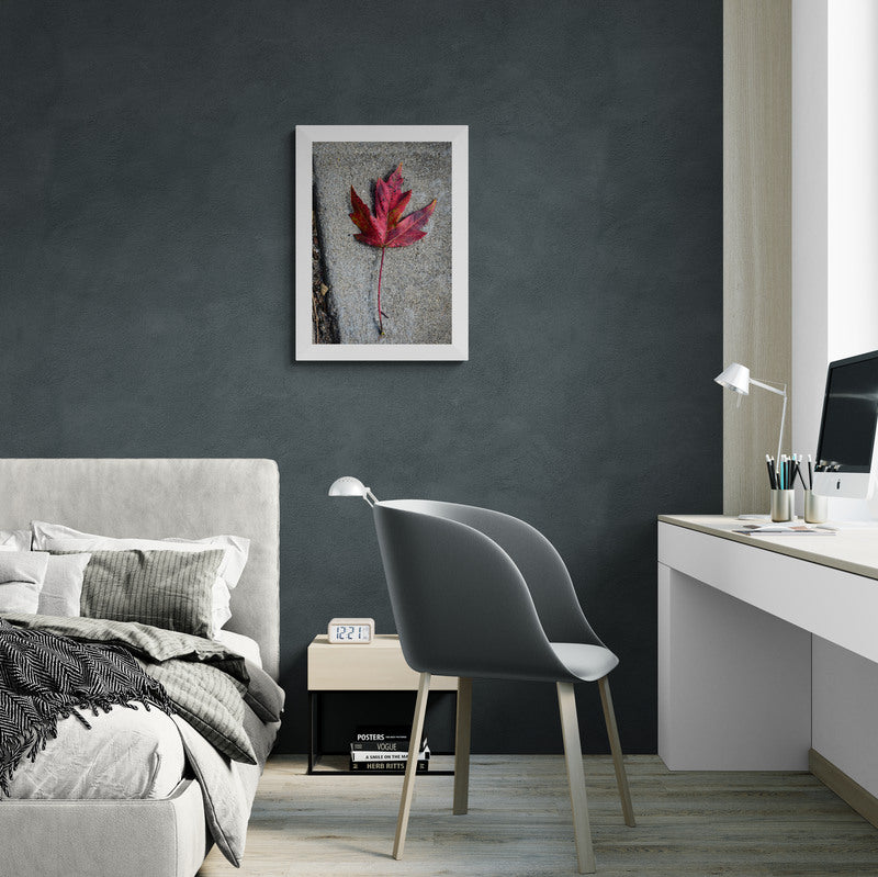 Red Maple Leaf, Original Photograph by Kim A. Bailey in Bedroom with gray walls, a bed, chair, and desk.