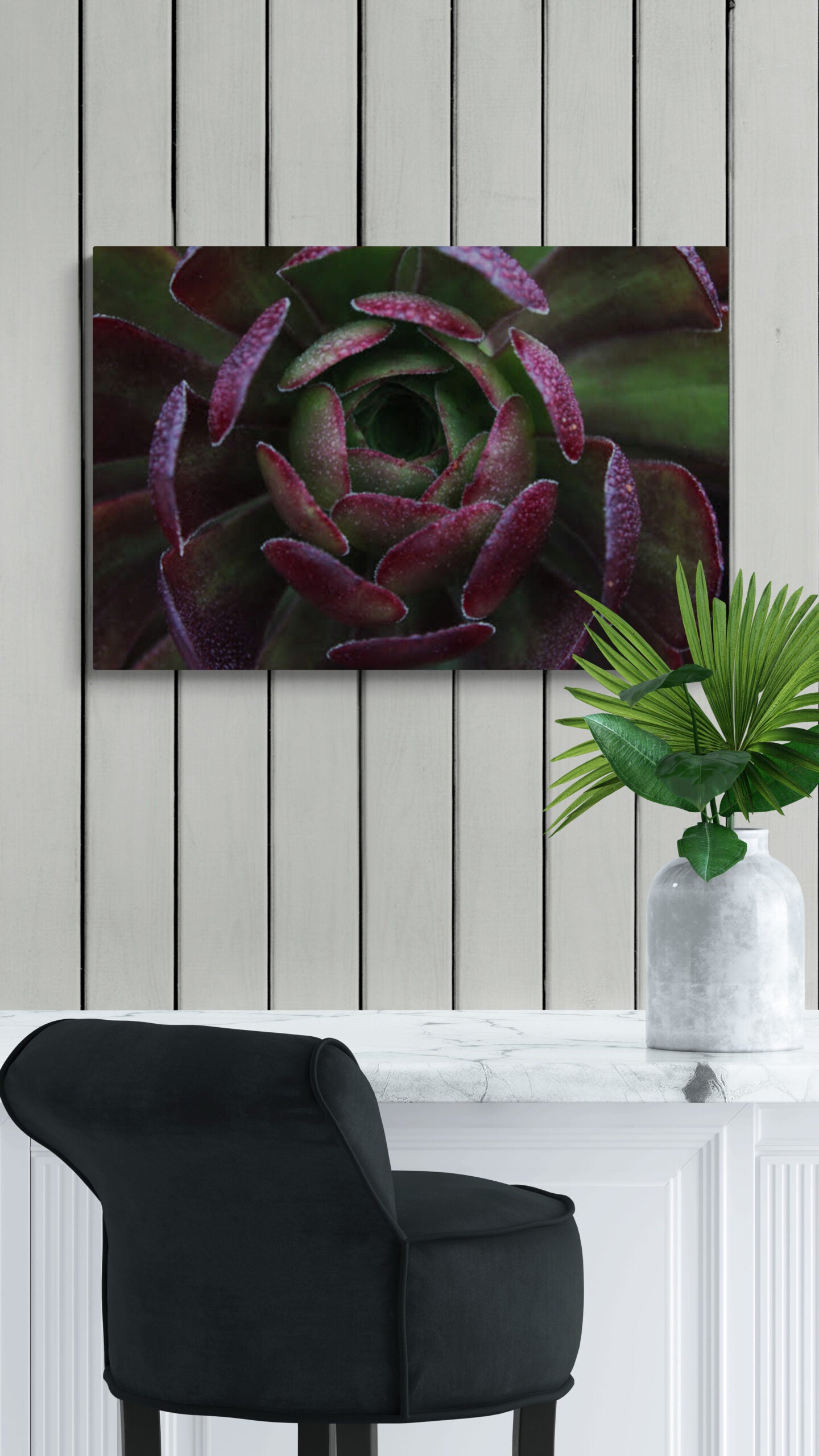 Dark Green and Purple Succulent Red and Green Succulent, Original Photograph by Kim A. Bailey