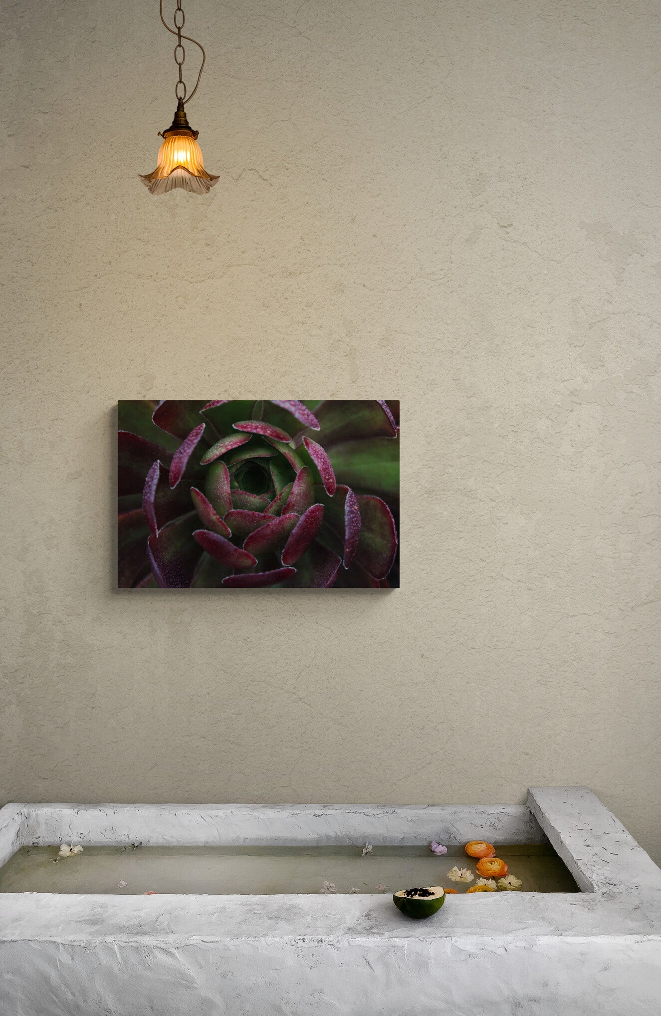 Red and Green Succulent, Original Photograph by Kim A. Bailey
