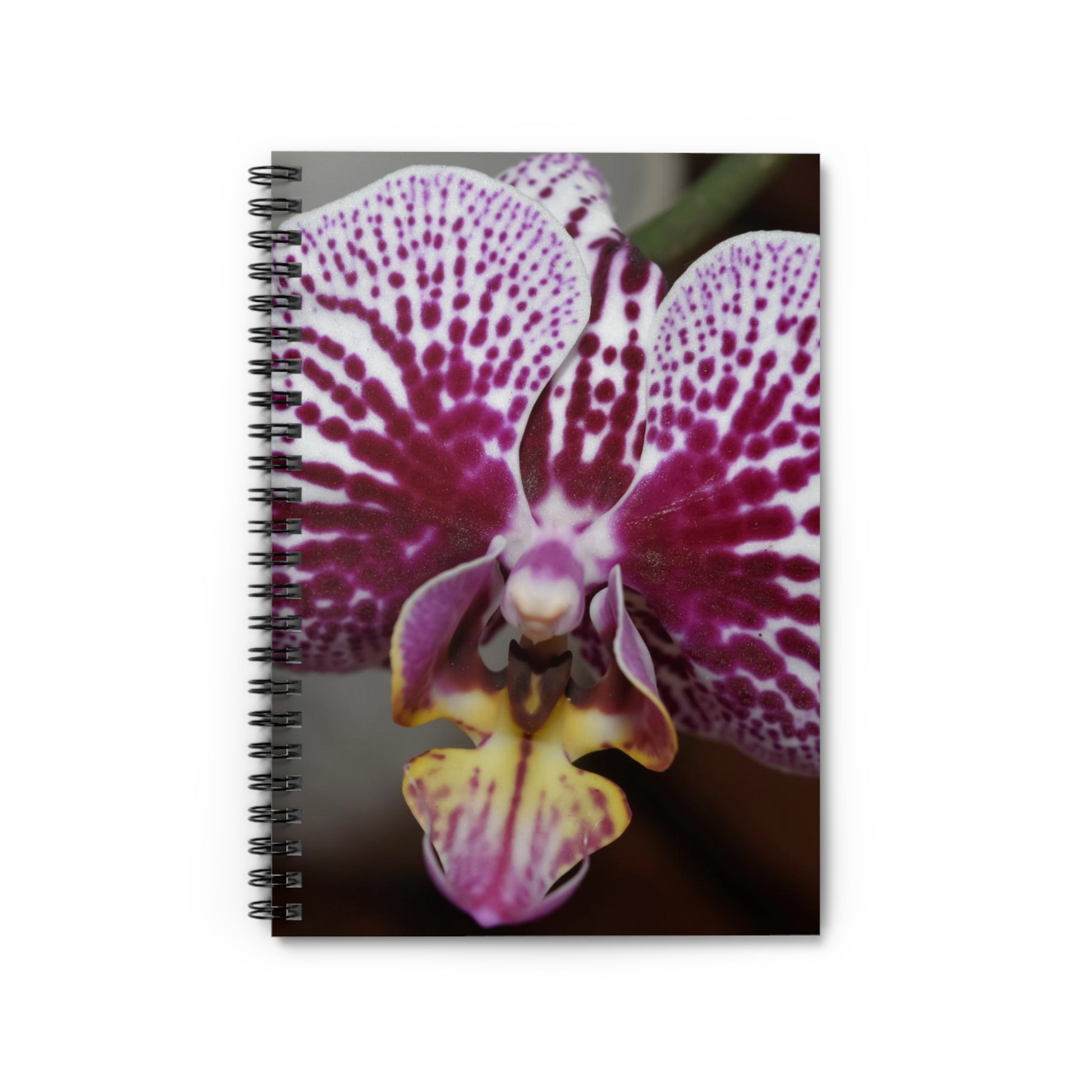 A spiral notebook with a ruled line design featuring a close-up photograph of an orchid flower on the cover.