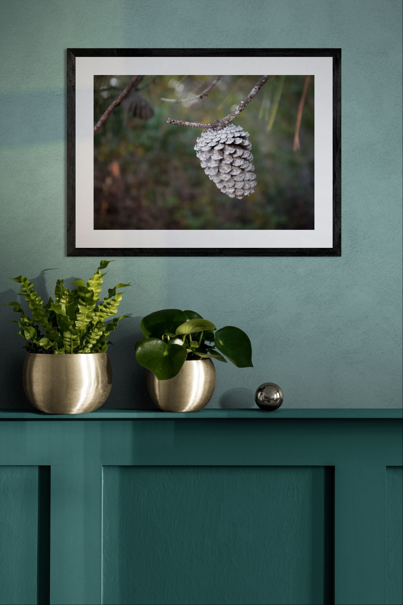 Framed photograph of a pine cone on a teal wall with decorative plants below.