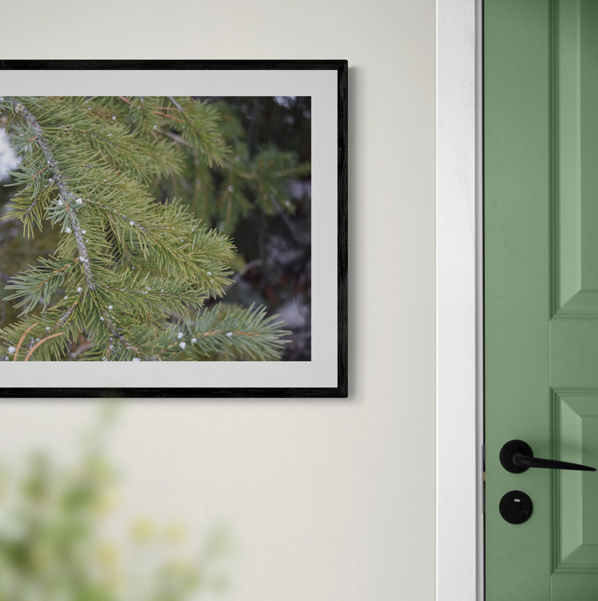Framed picture of greenery above a green door. Snow on a Pine Tree, Original Photograph by Kim A. Bailey