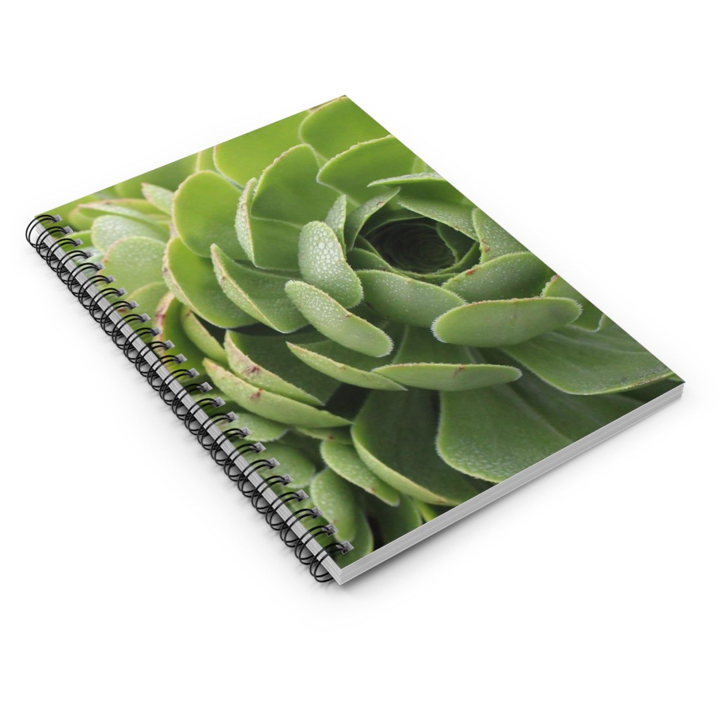 Spiral Notebook - Ruled Line - "Green Succulent" by Kim Bailey