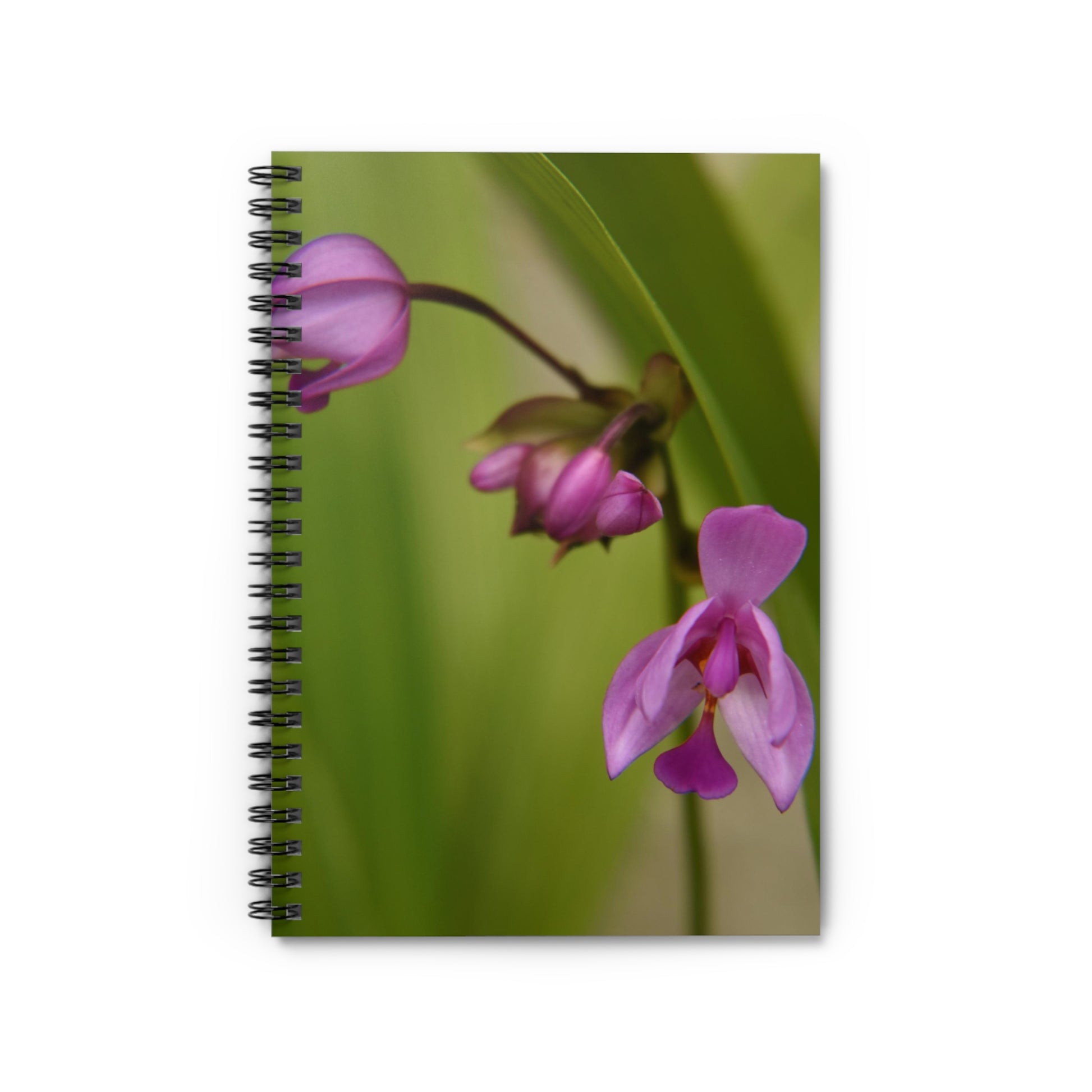A spiral notebook with a photograph of pink and green tiny ground orchids on the cover, with a dark grey back cover and a page with pockets on both sides.