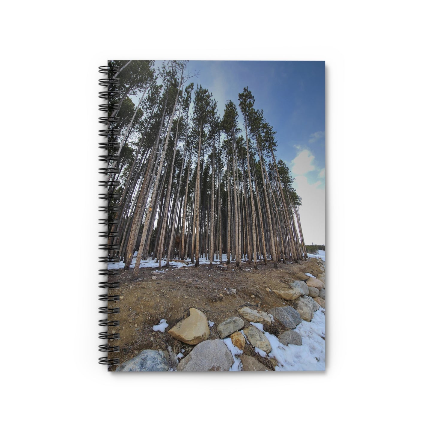 A spiral notebook with a photograph of trees on the cover, predominantly outdoors with nature.