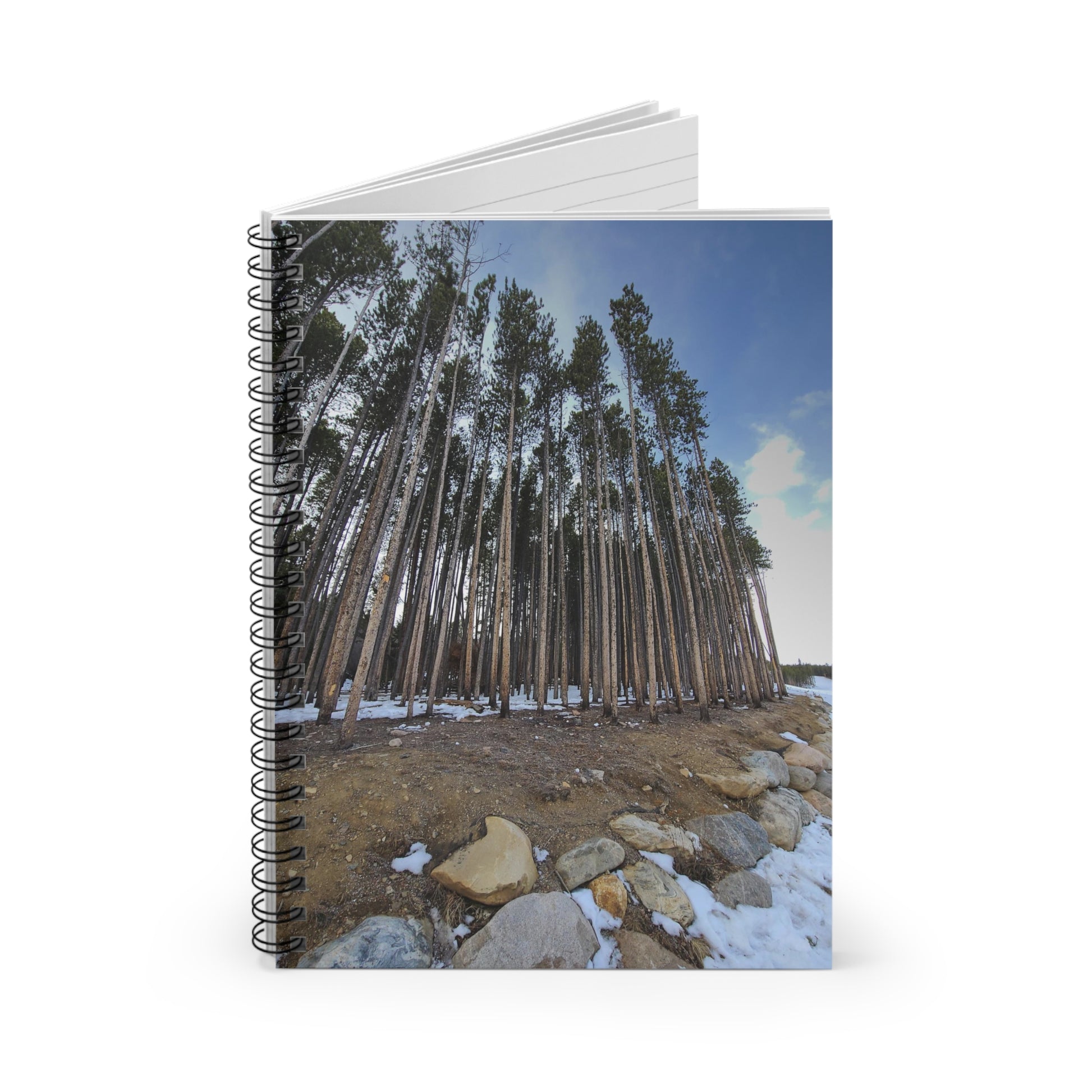 Spiral Notebook or Journal - Ruled Line - "Trees at Breckenridge" by Kim Bailey