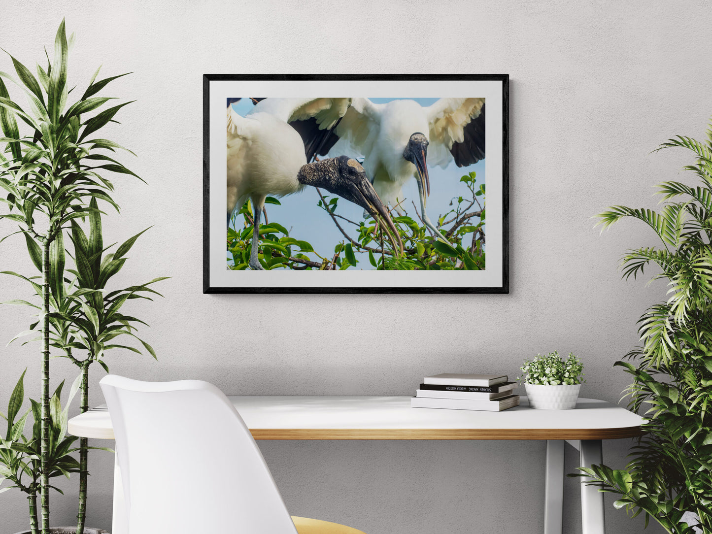 Storks-Tending-to-their-Nest-Original Photograph by Kim A. Bailey in a home office