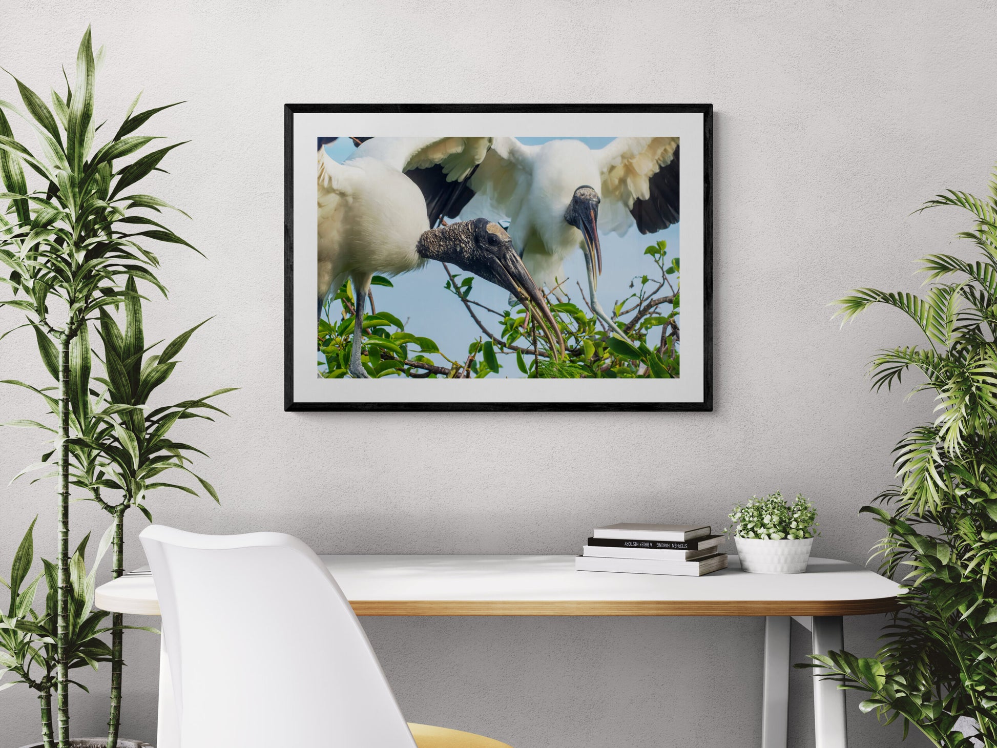Storks-Tending-to-their-Nest-Original Photograph by Kim A. Bailey in a home office