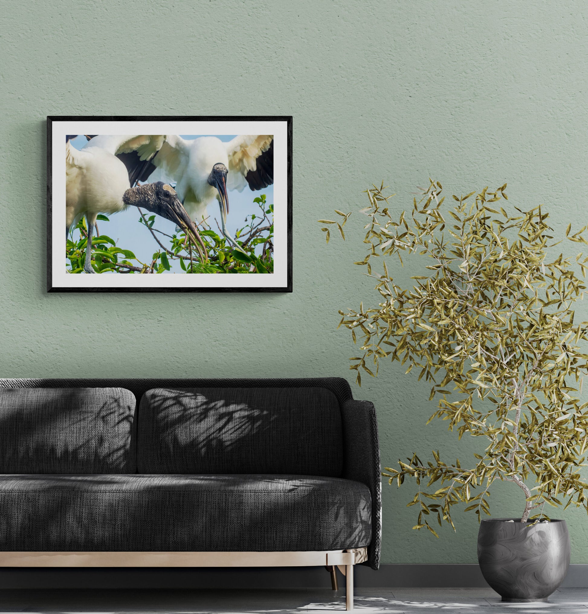 Storks-Tending-to-their-Nest-Original Photograph by Kim A. Bailey on a living room wall