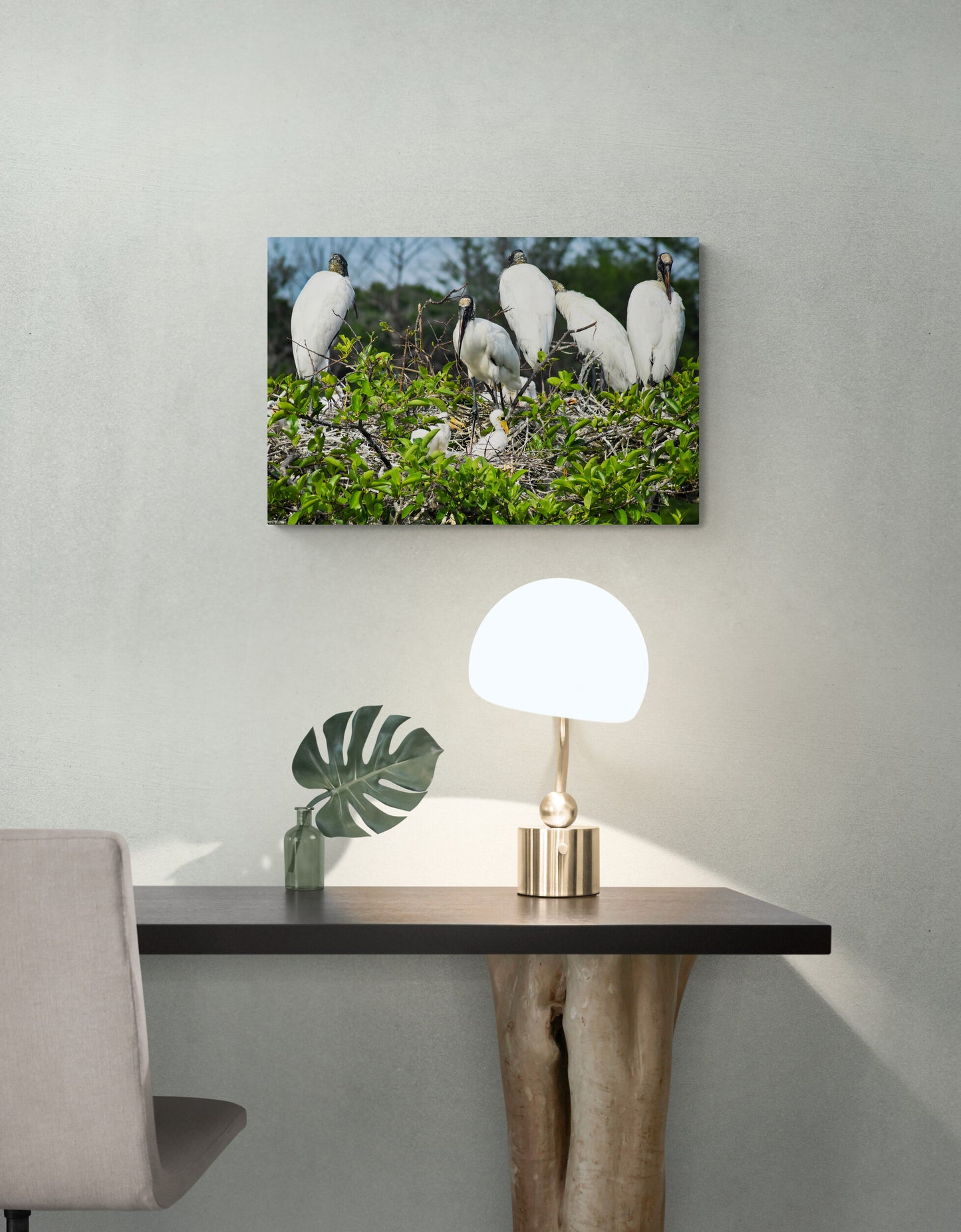 Storks-with-their-babies-scaled_Original_Photograph_by_Kim_A._Bailey Over a Desk