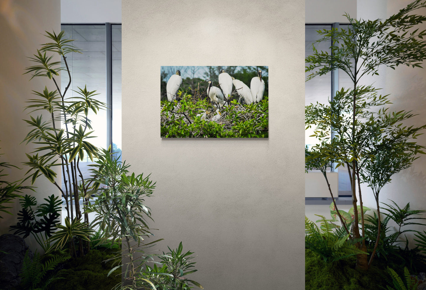 Storks-with-their-babies-scaled_Original_Photograph_by_Kim_A._Bailey On a Wall