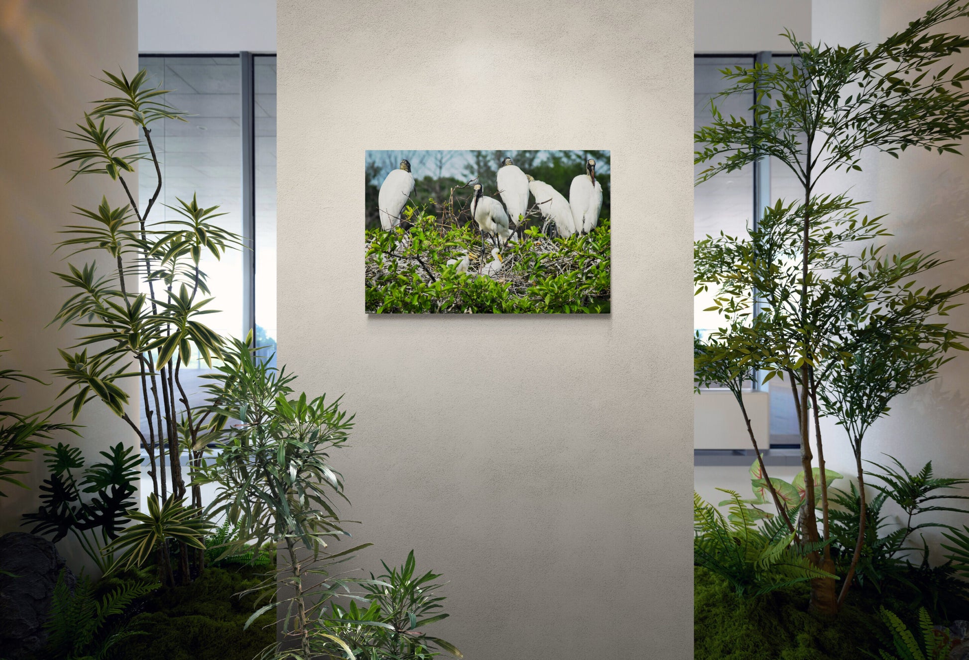 Storks-with-their-babies-scaled_Original_Photograph_by_Kim_A._Bailey On a Wall
