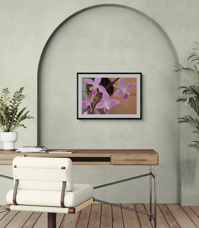 Framed photograph of pink orchids on a neutral wall above a desk. Tiny Purple Ground Orchids, Original Photograph by Kim A. Bailey