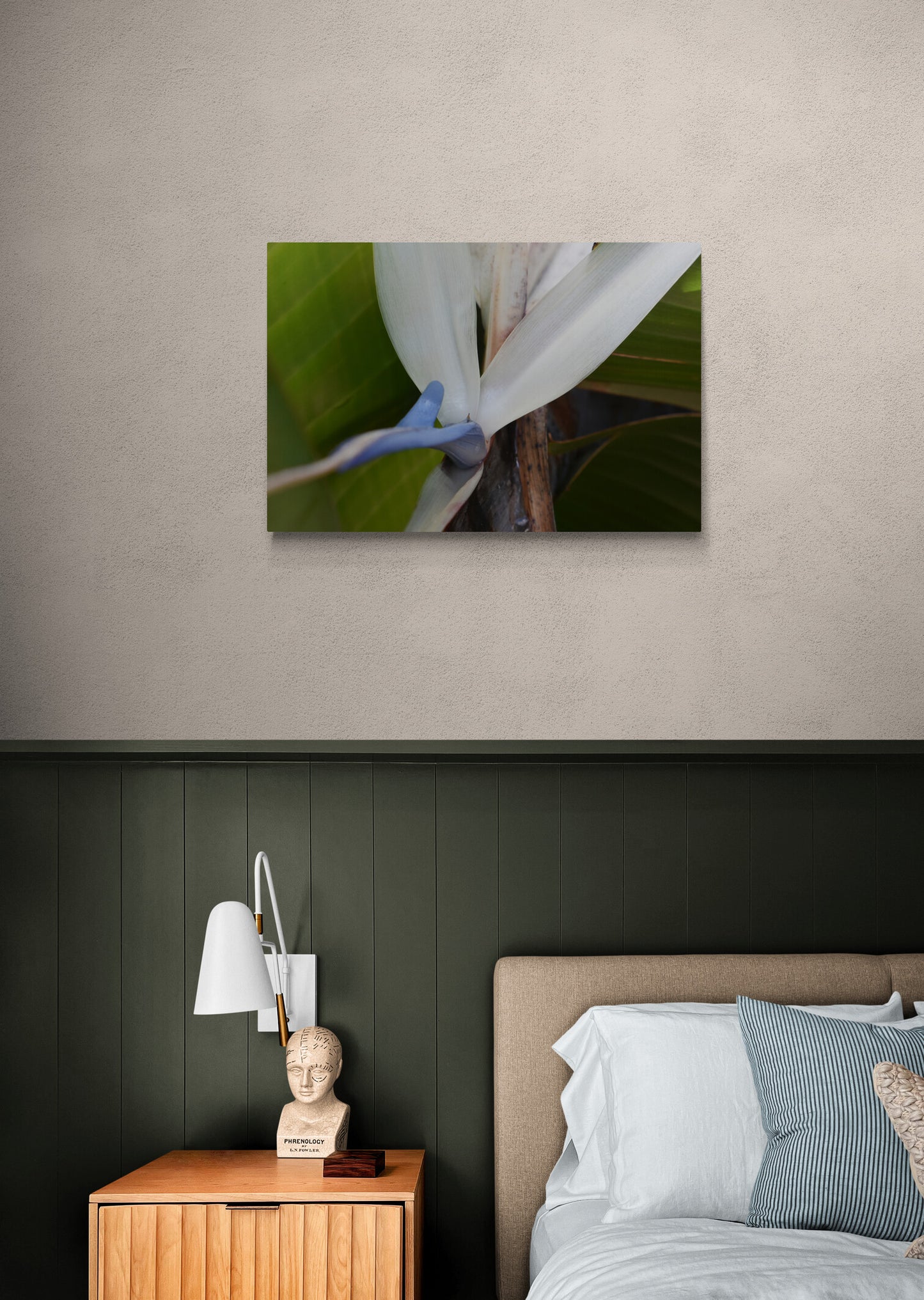 Travelers Palm Bloom (White Bird of Paradise) Original Photograph by Kim A. Bailey