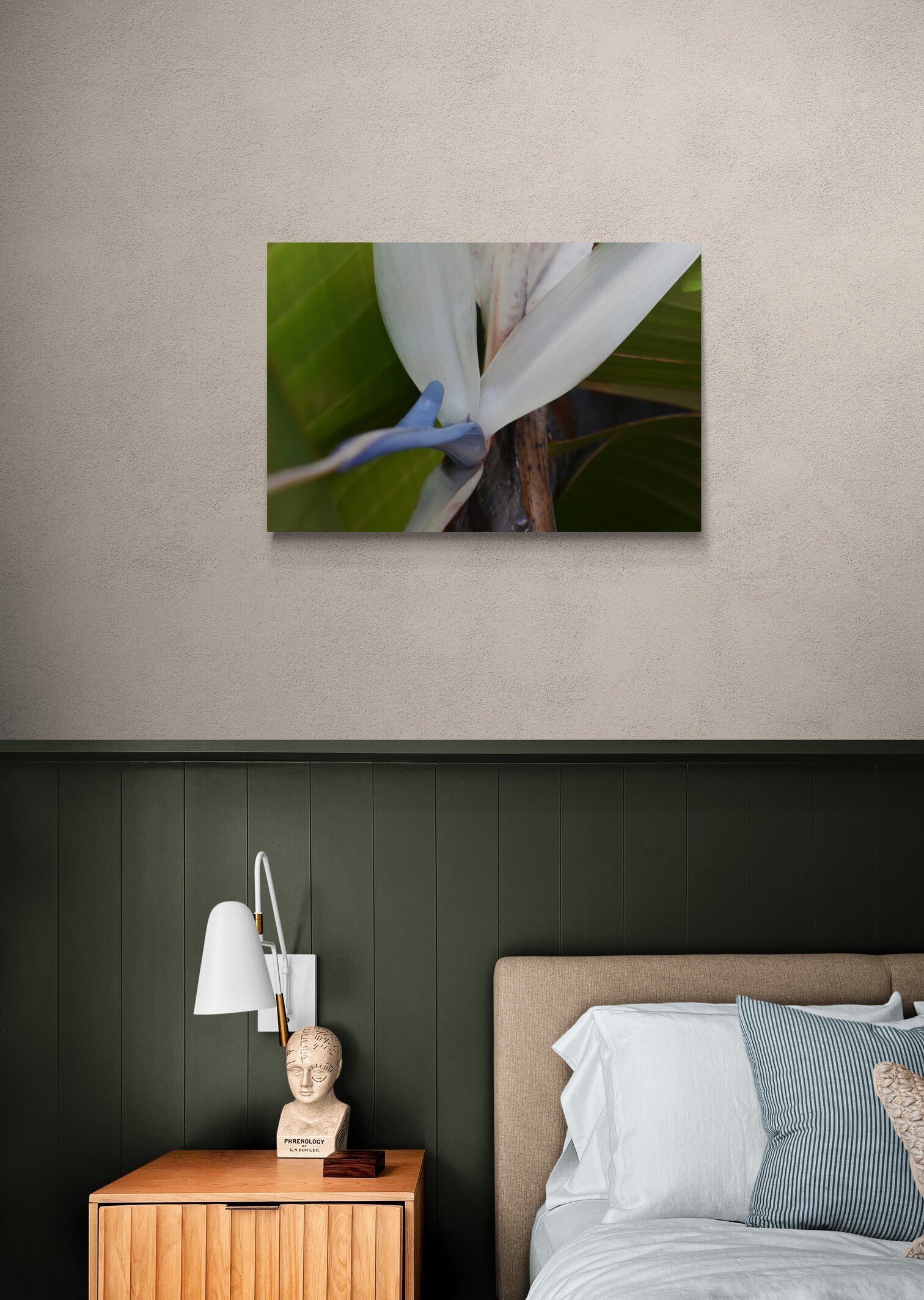 Travelers Palm Bloom (White Bird of Paradise) Original Photograph by Kim A. Bailey