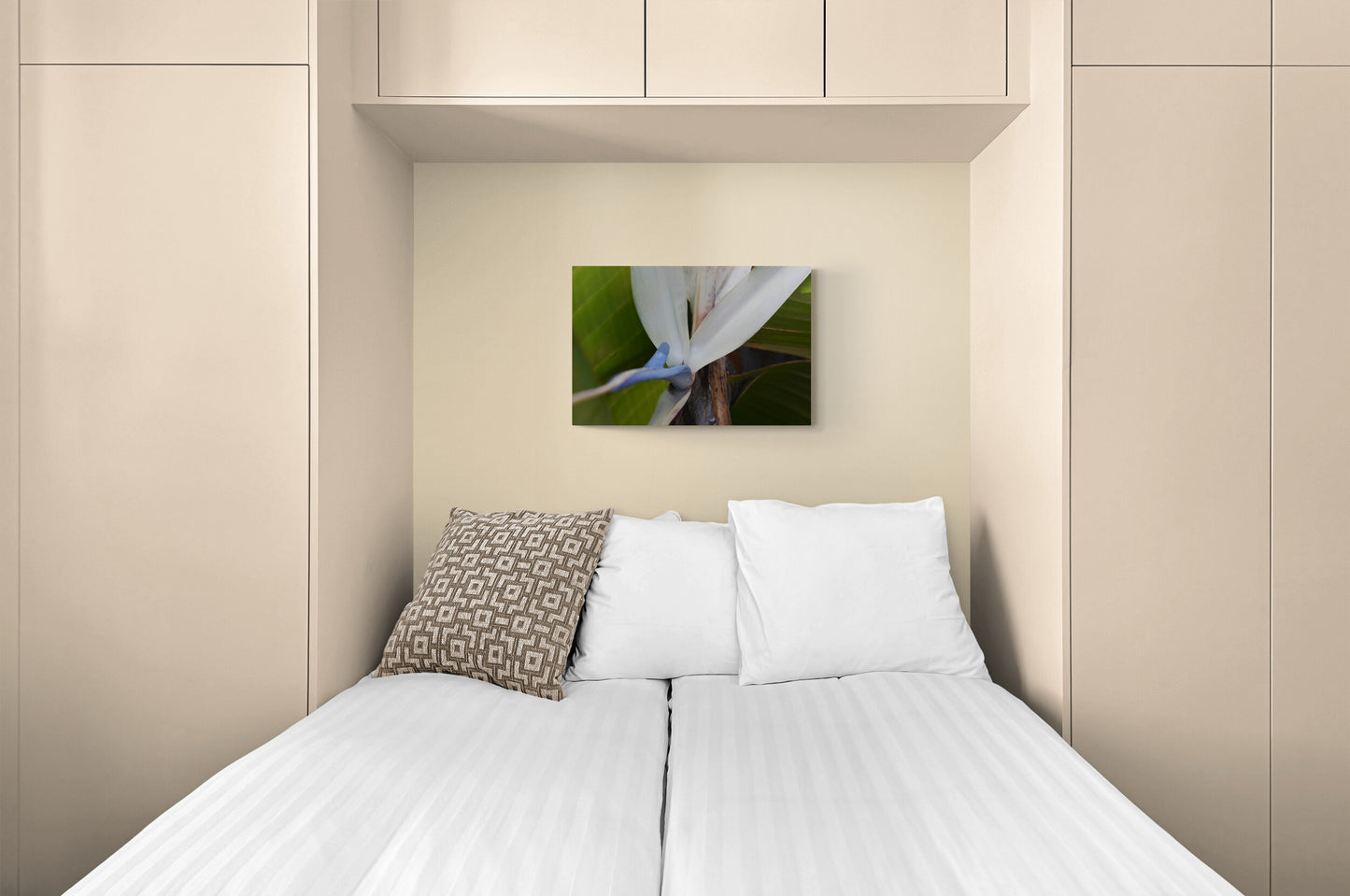 Travelers Palm Bloom (White Bird of Paradise) Original Photograph by Kim A. Bailey